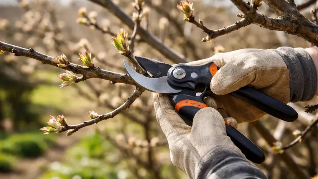 REGIONS/Сгенерировано нейросетью