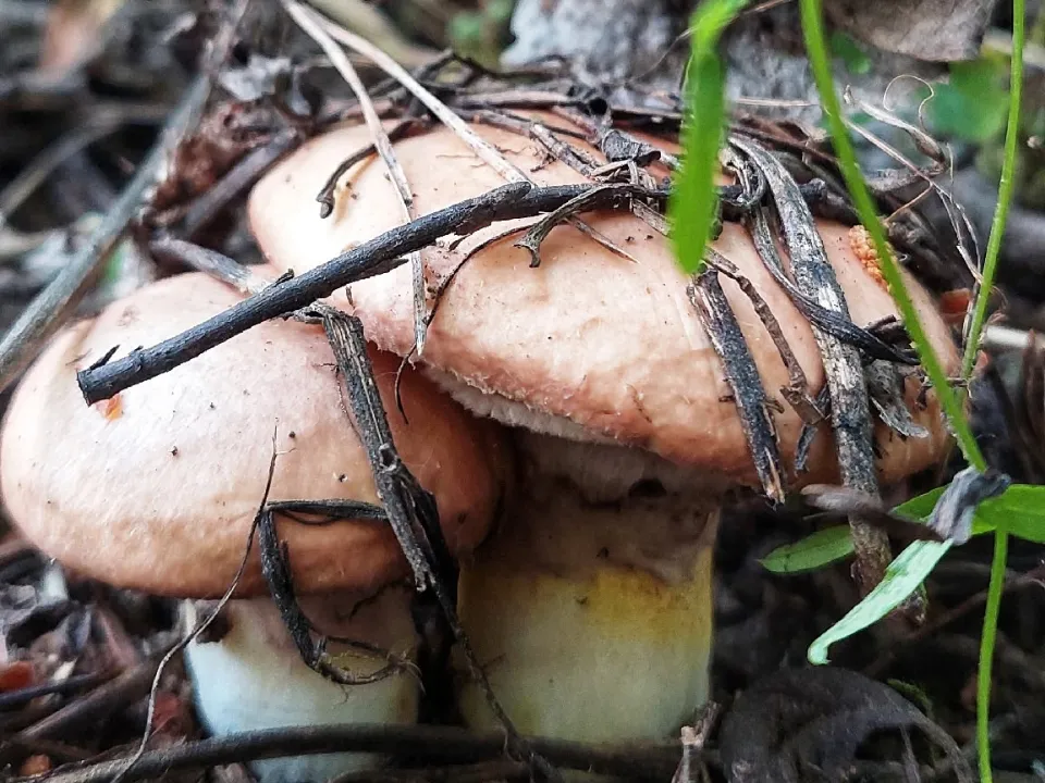 Фото: Василий Потапов