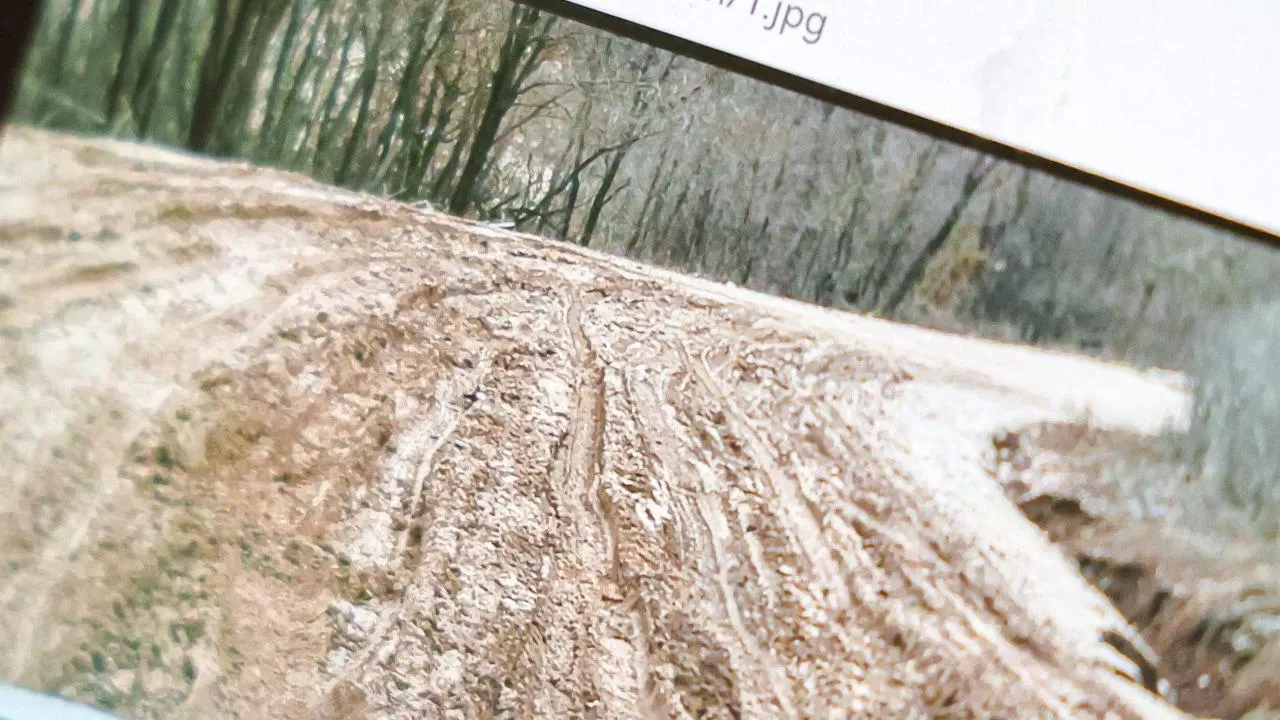 МедиаБанк Подмосковья/Данила Кирьянов