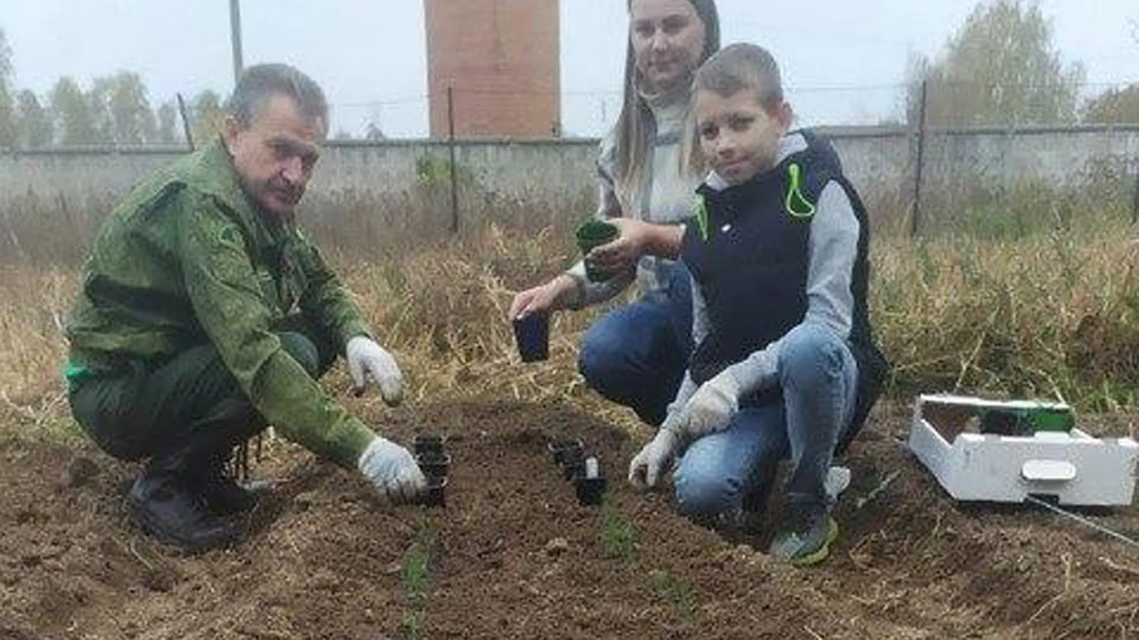 Фото: Комитет лесного хозяйства МО