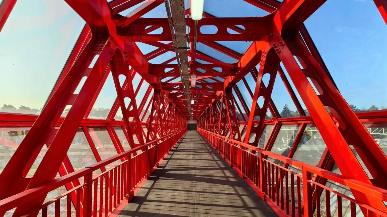 Фото: пресс-служба губернатора и правительства Московской области