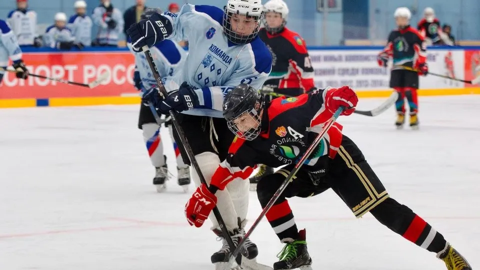 Фото: министерство физической культуры и спорта Московской области