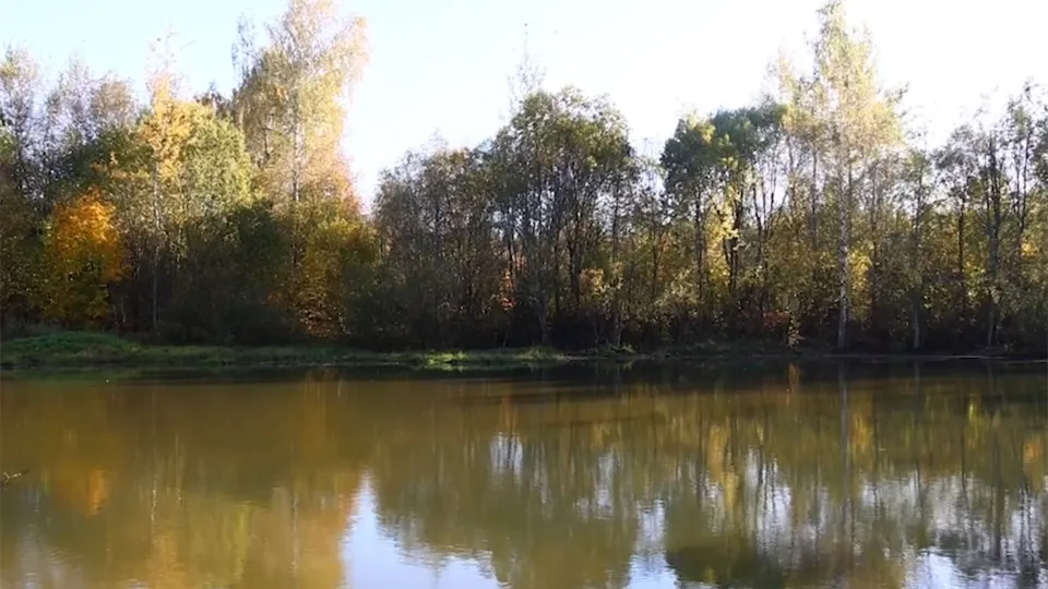 Фото: Щелковской телевидение