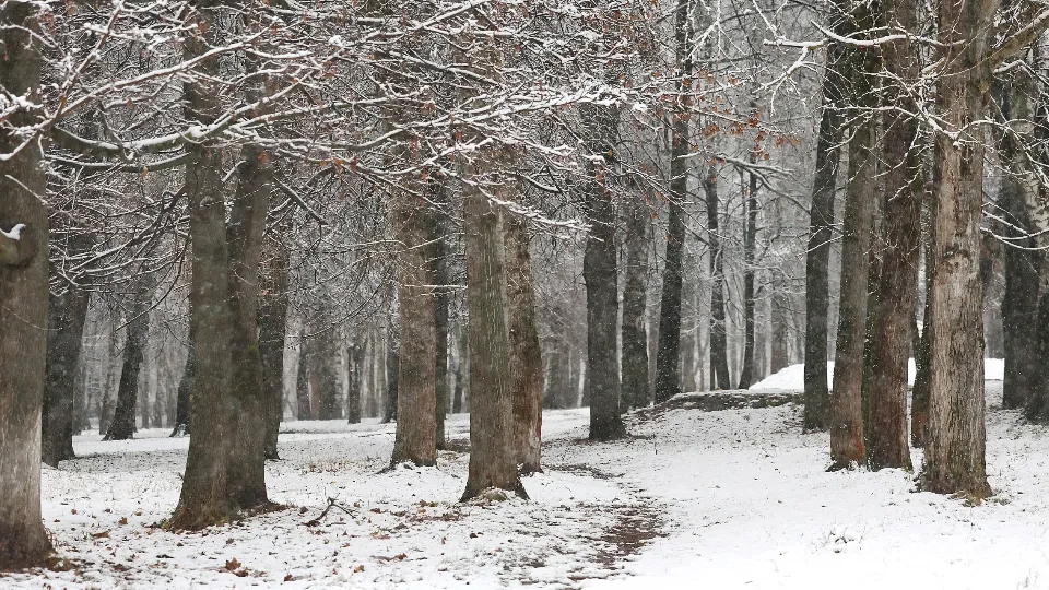 Фото: Ольга Пятикрестовская