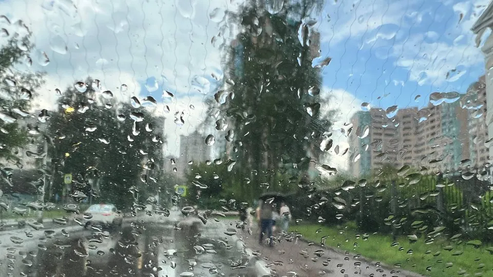Фото: Елена Фурман