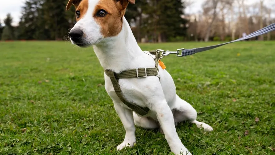 Фото: freepik.com