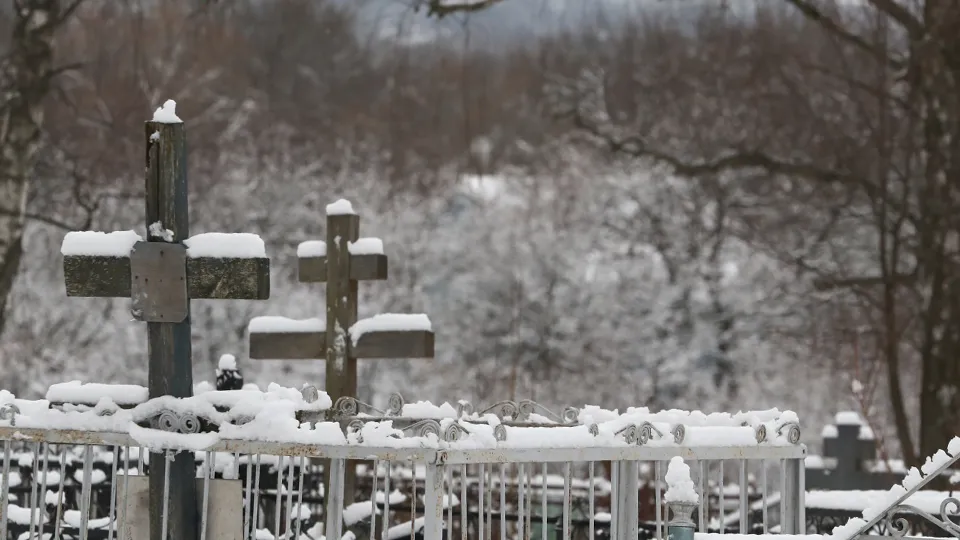 Фото: ТАСС/Сергей Карпухин