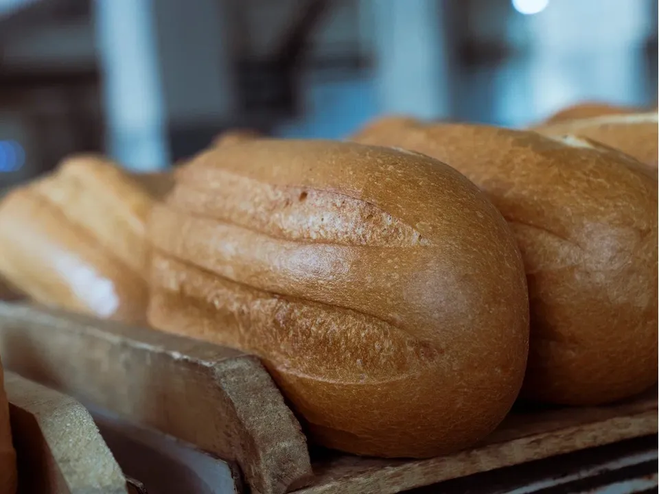 Фото: REGIONS/Наталия Надточая