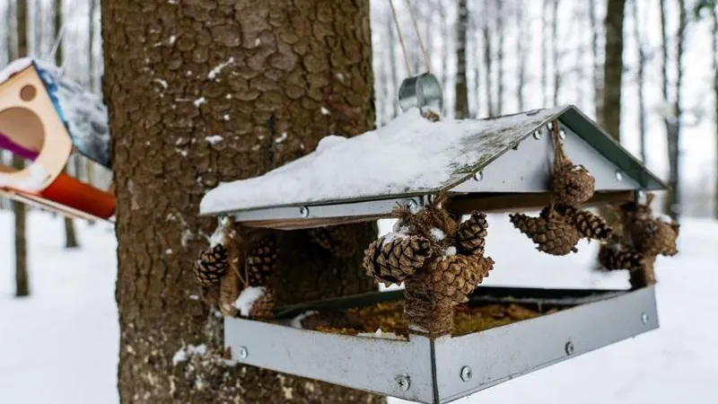 медиасток.рф