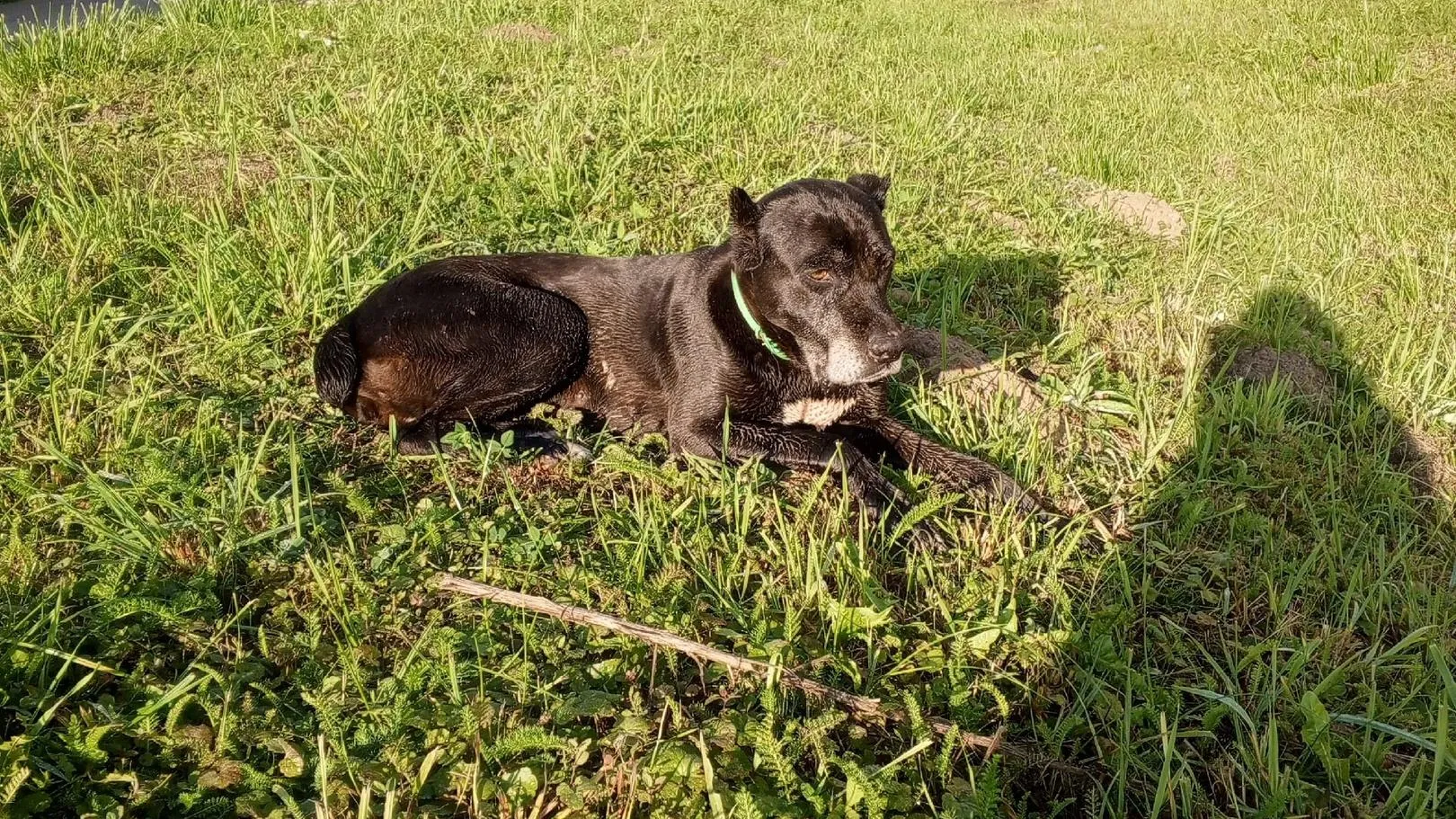 Фото соцсети.