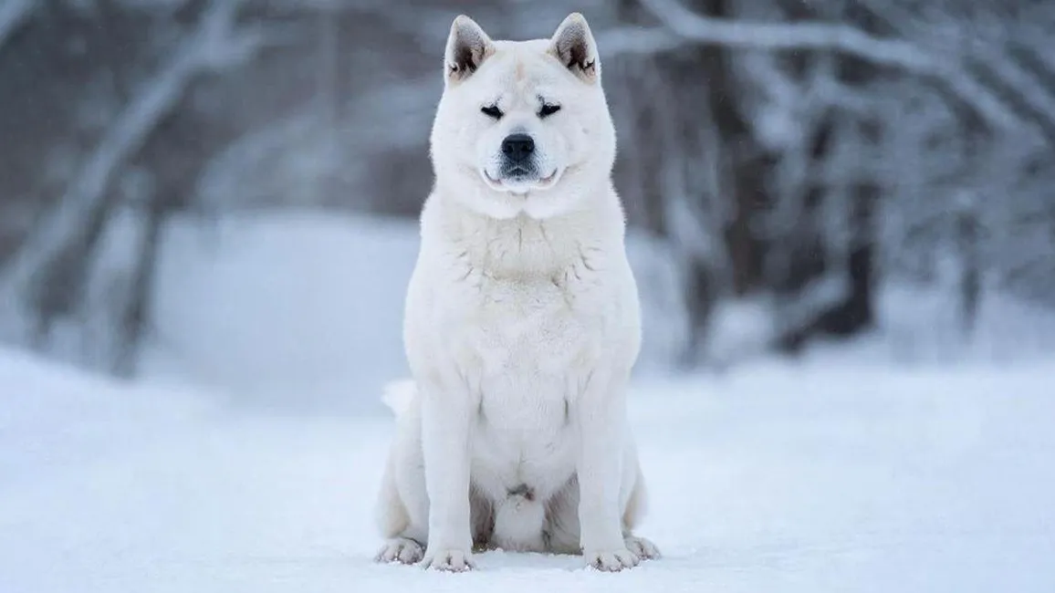 REGIONS/Сгенерировано нейросетью