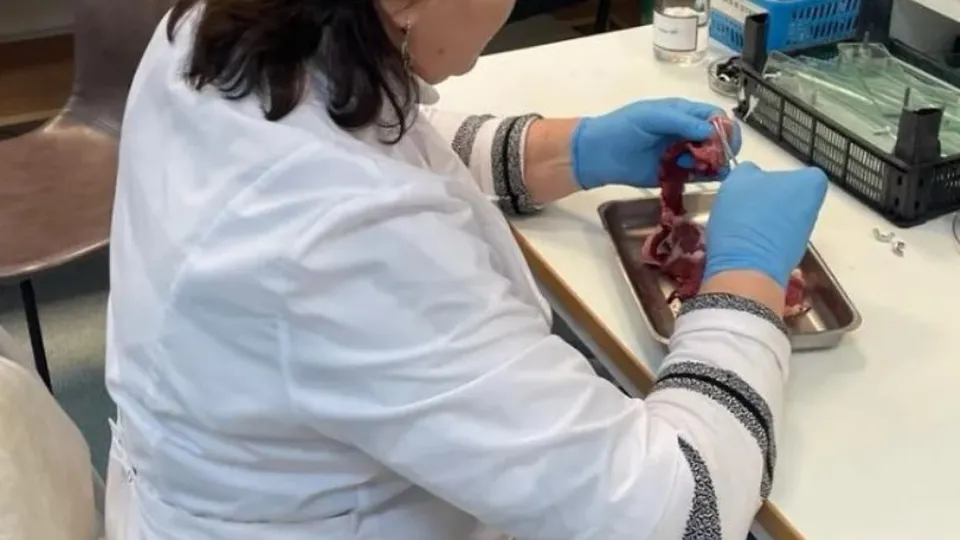 Фото: Министерство сельского хозяйства и продовольствия Московской области