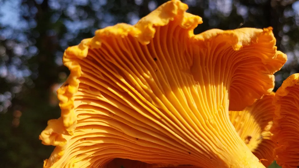 Фото: МедиаБанк Подмосковья/Марина Анисимова