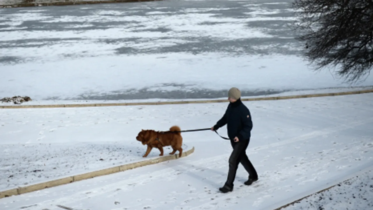 Фото: РИА Новости/Максим Блинов