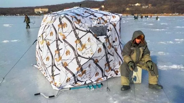 Виталий Аньков / РИА Новости