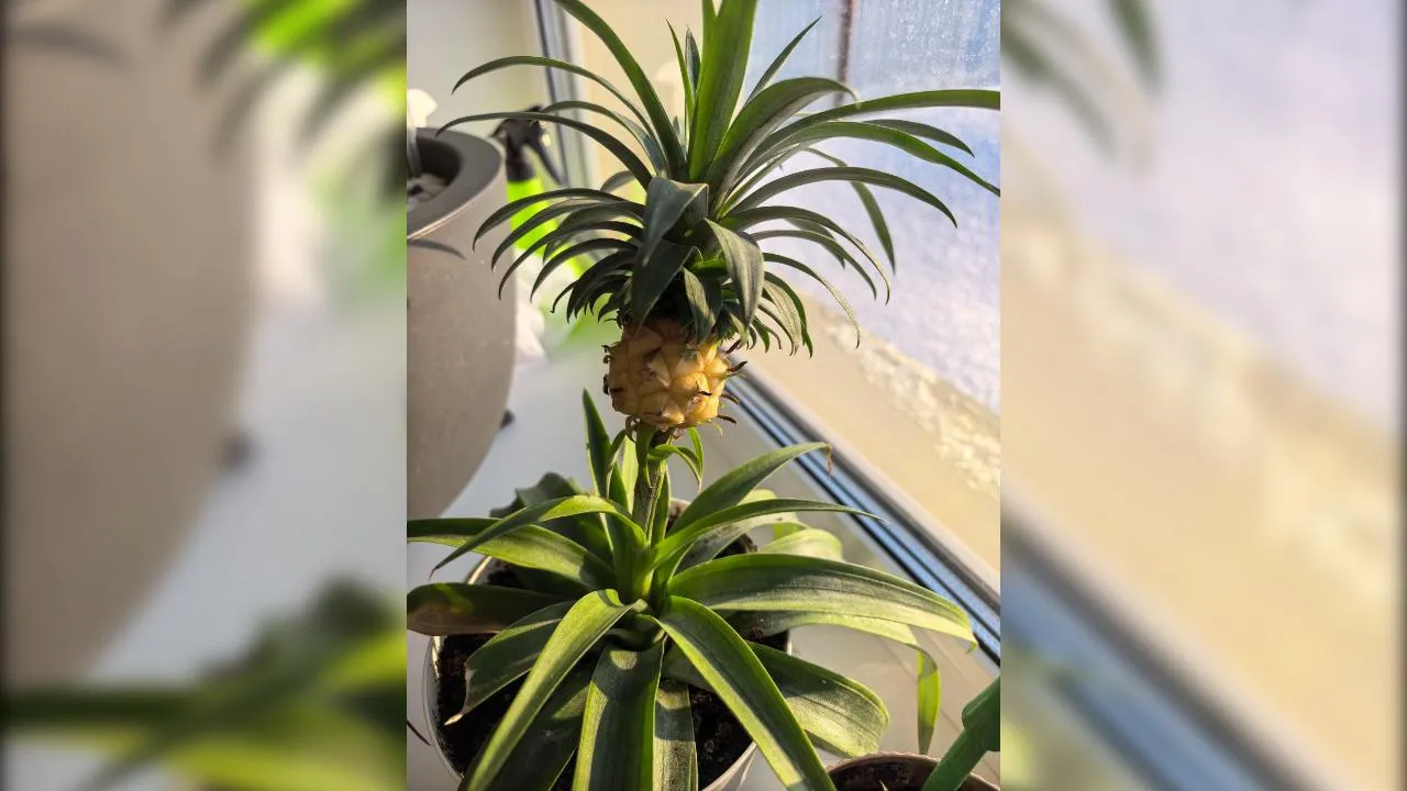 из личного архива Гульнары Ломакиной