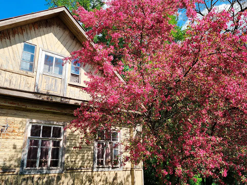 Фото: Валентина Максимова&nbsp;