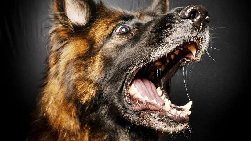 медиасток.рф