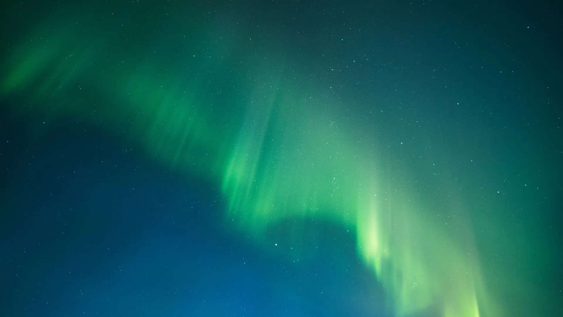 Фото: unsplash.com