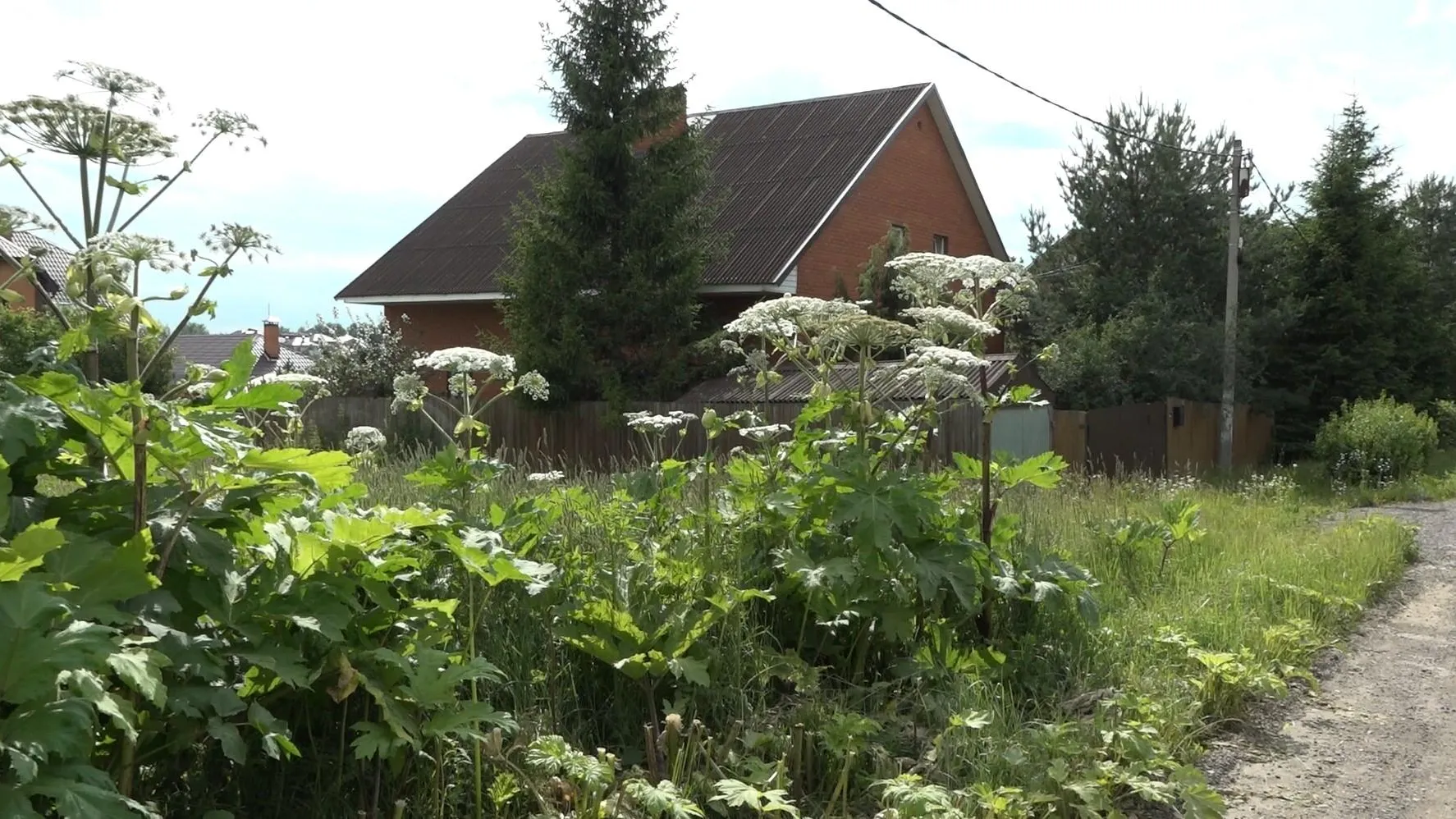 Фото: Наталия Надточая