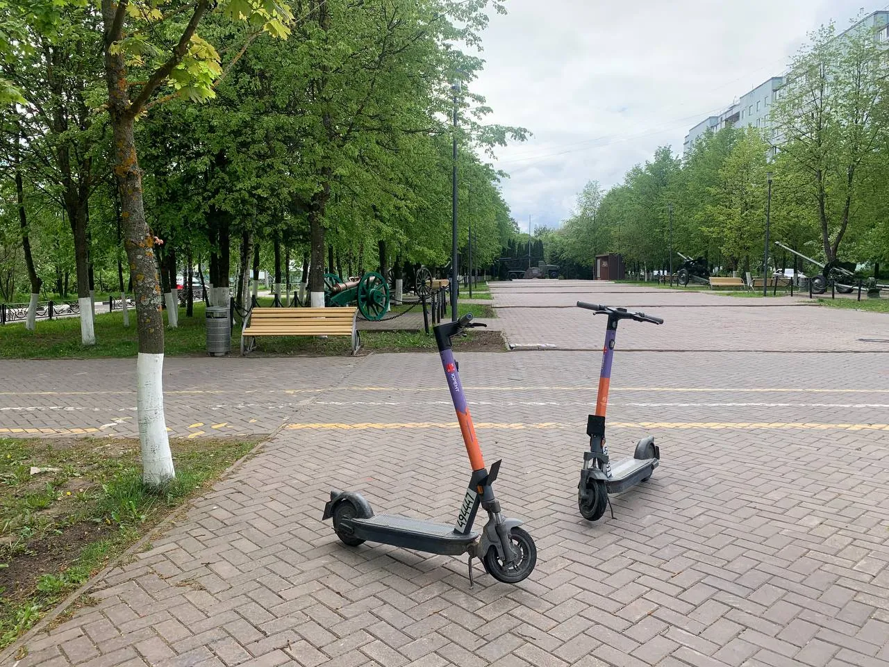 Фото: администрация г.о. Краснознаменск