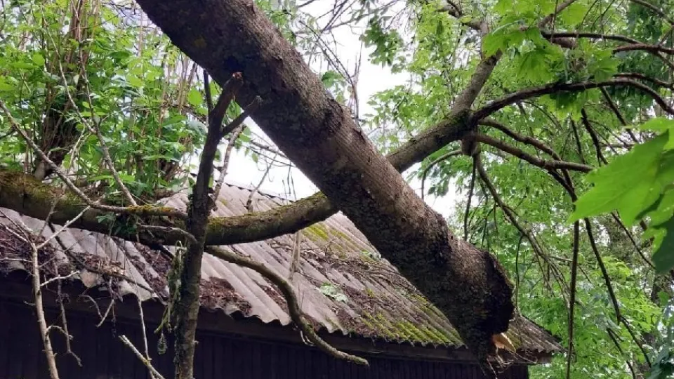 Фото: vmeste.mosreg.ru