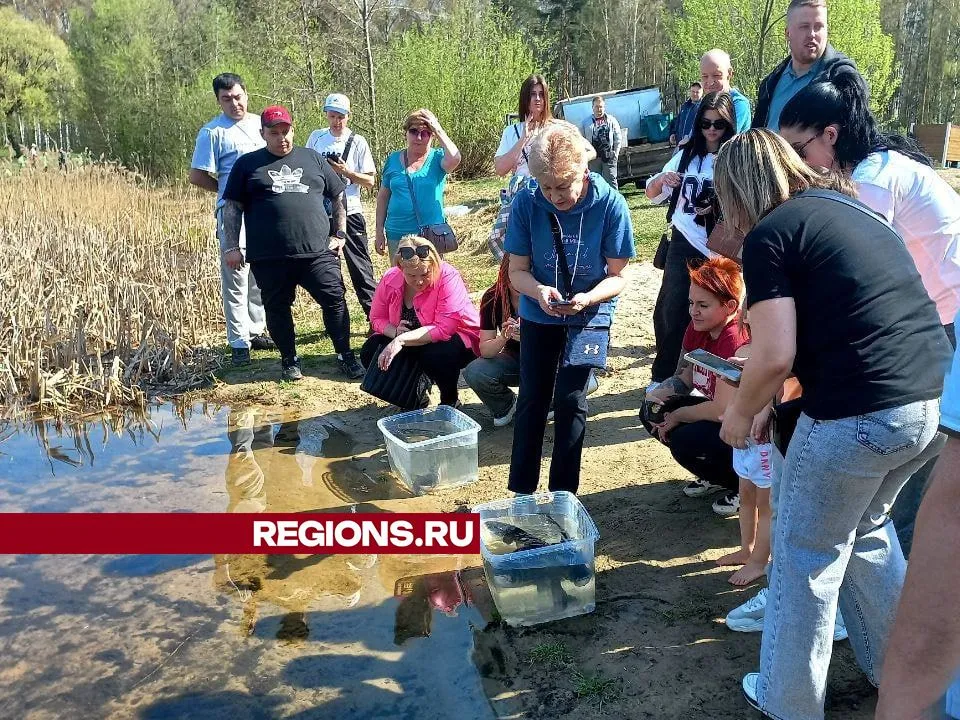 Фото: REGIONS/Олег Книжник