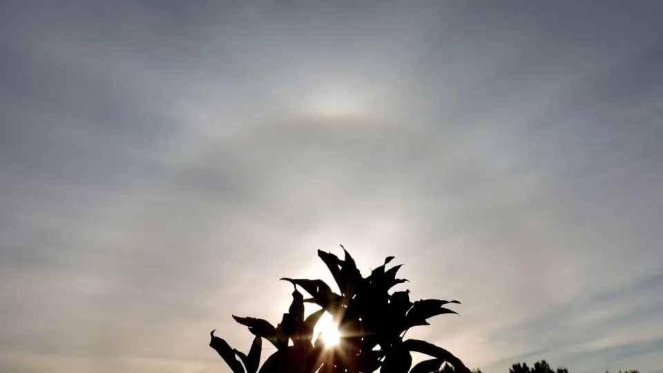 Фото: МедиаБанк Подмосковья/Евгения Шарова
