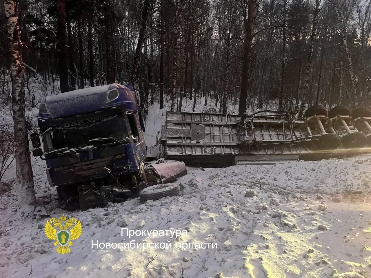 прокуратура Новосибирской области