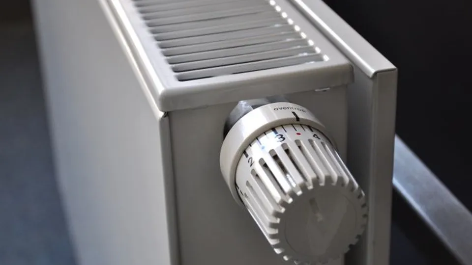 Фото: pxhere.com