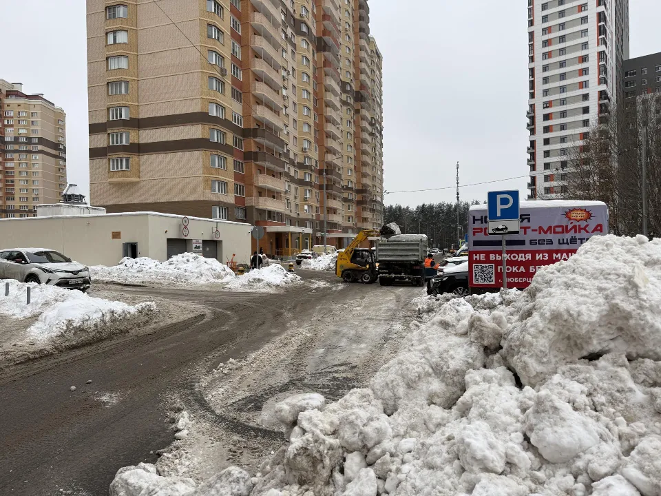 Фото: МедиаБанк Подмосковья/Анна Дука