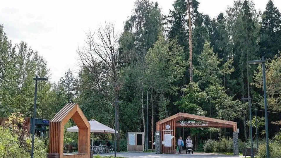 Фото: пресс-служба Администрации городского округа Мытищи