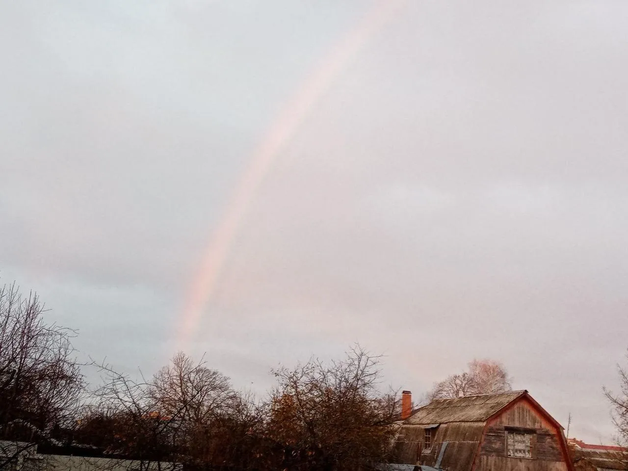Фото: Василий Тремасов