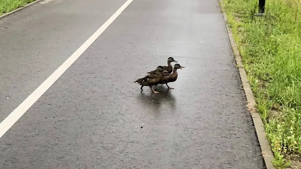 Фото: Наталья Махова