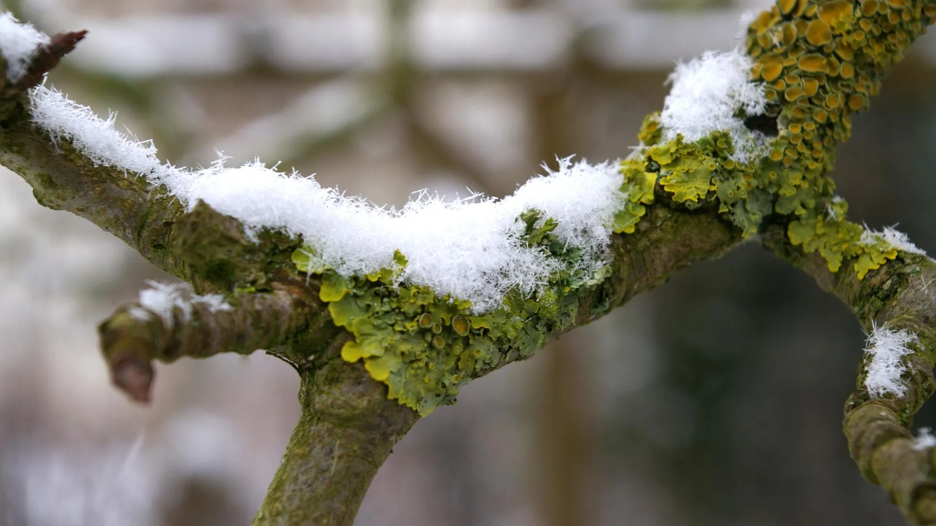 Фото: pxhere.com