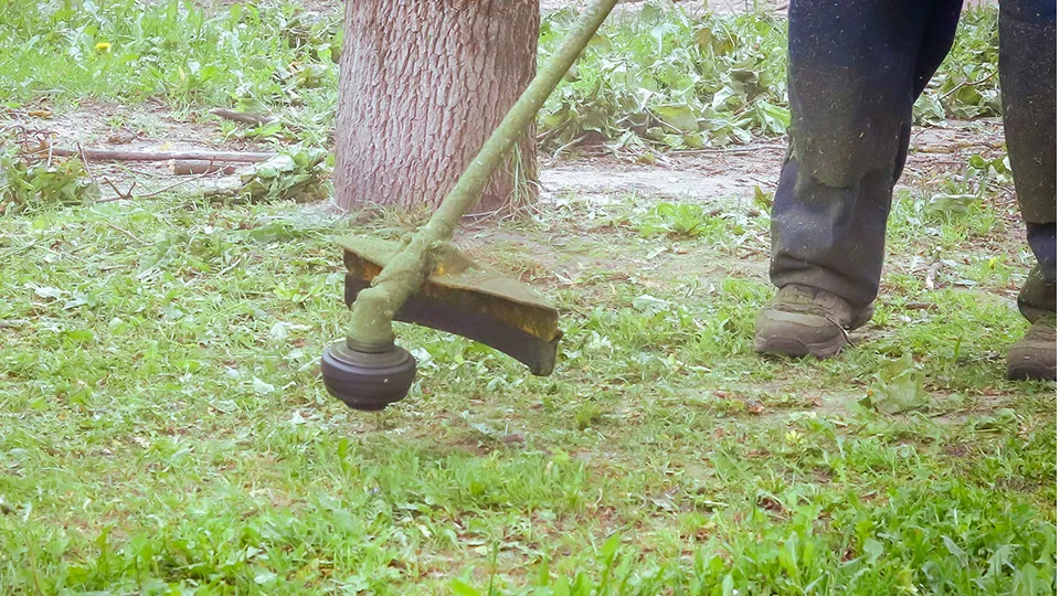 Фото: МедиаБанк Подмосковья/Данила Кирьянов