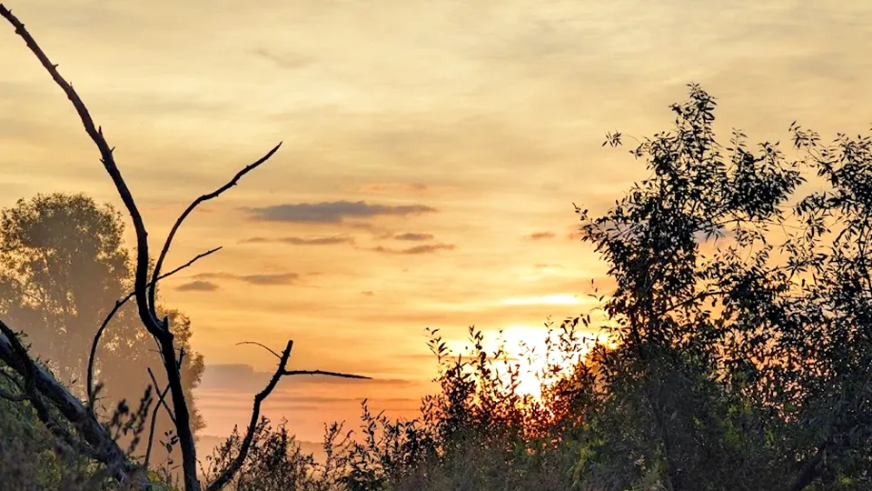 Фото: REGIONS/Алексей Селиверстов