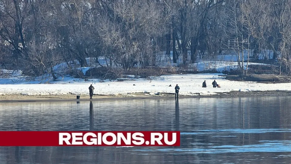 Фото: Александр Дрожжин