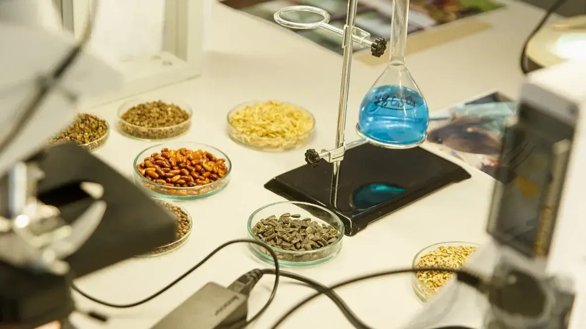 Никита Матвеенко