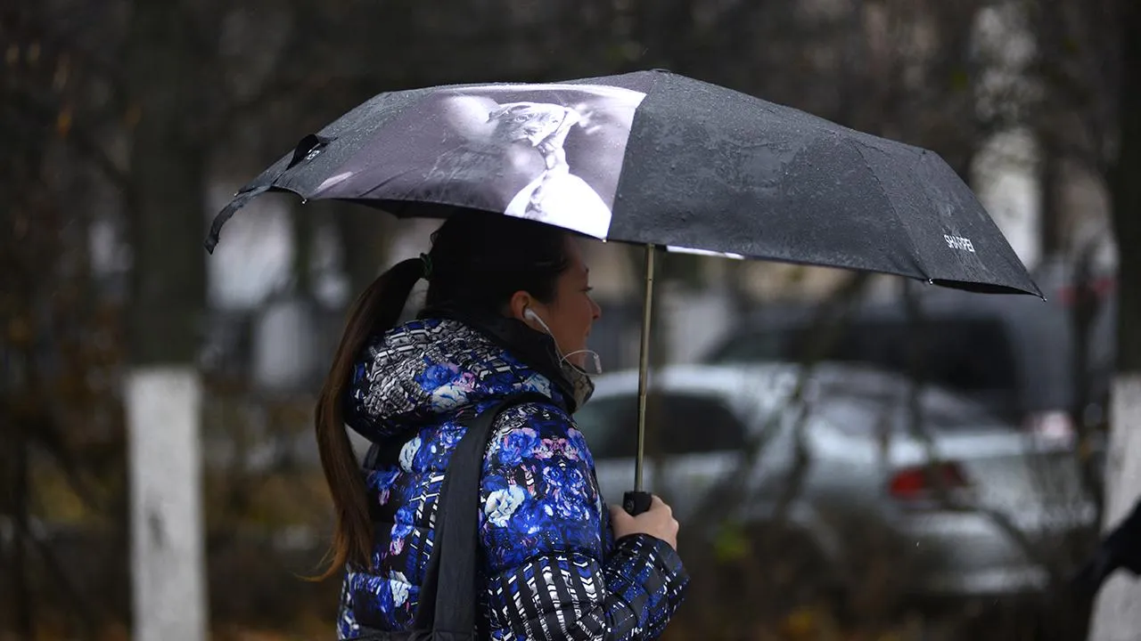 медиасток.рф