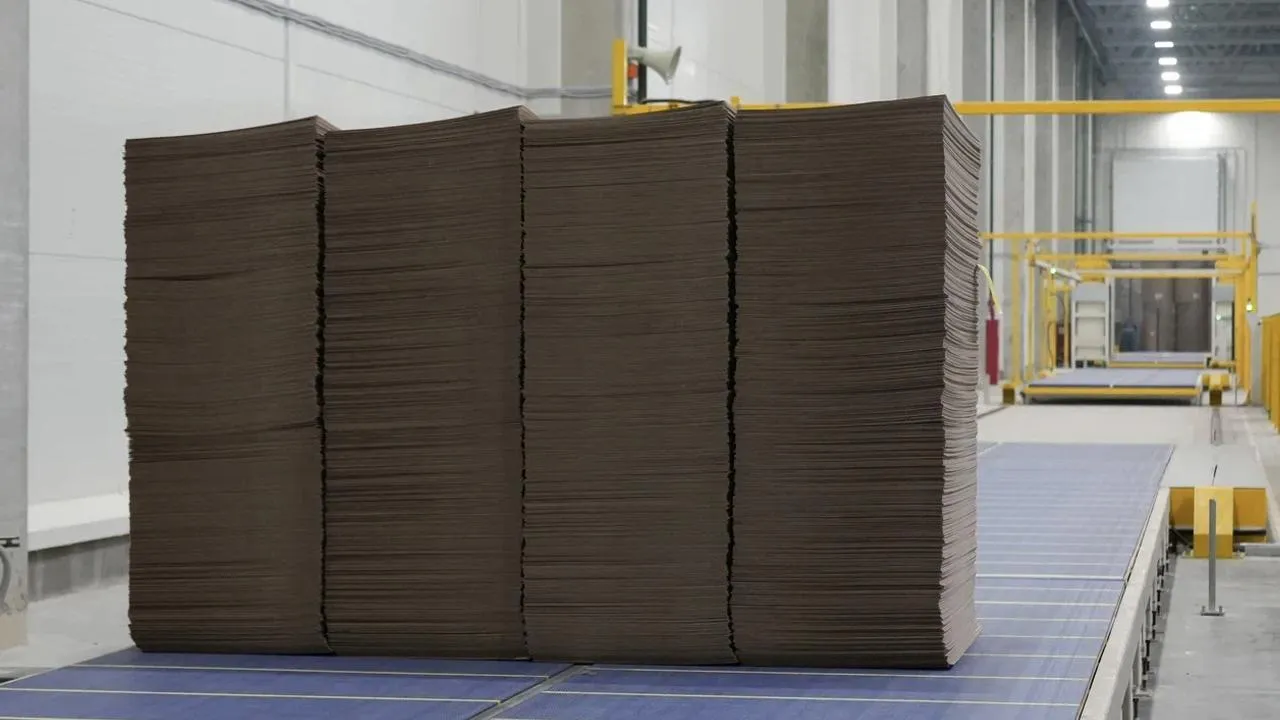 пресс-служба губернатора и правительства Московской области/Екатерина Агеева