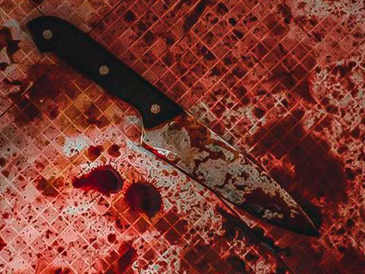 «Неправильно имя назвал, и она пырнула его»: выяснились подробности поножовщины в московской школе