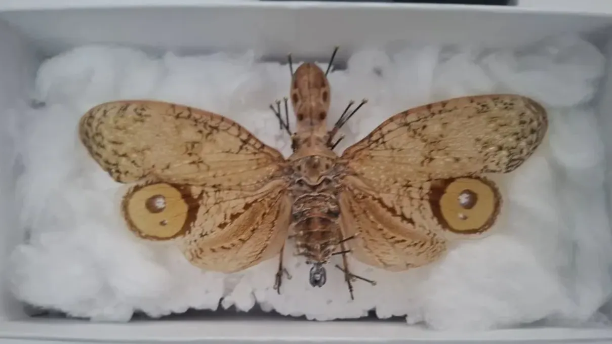 доска объявлений