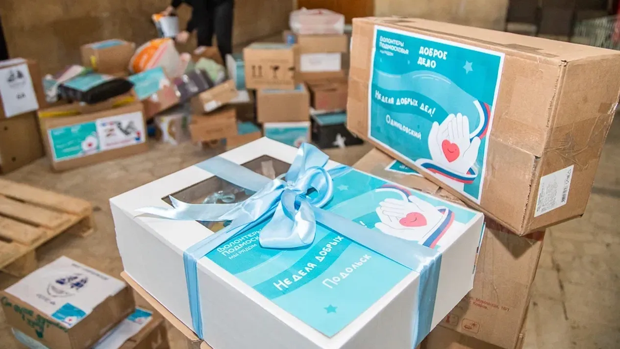 Фото: Пресс-служба Губернатора и Правительства Московской области