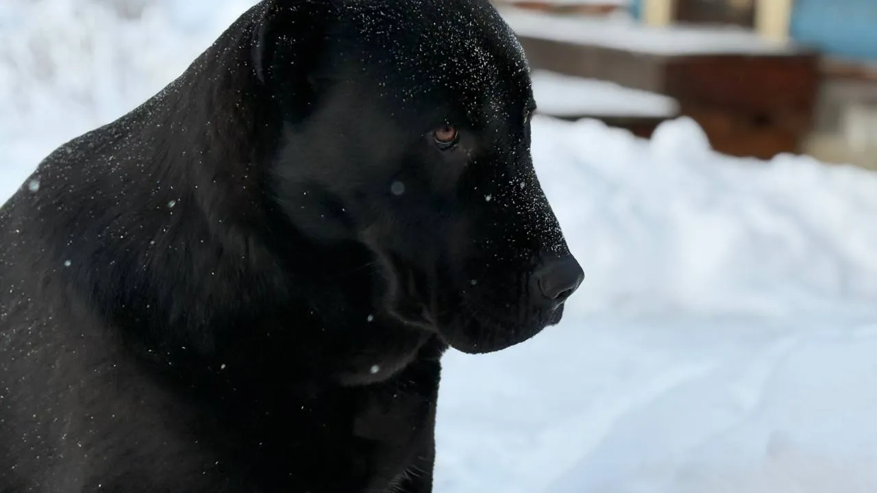 Фото: REGIONS/Полина Крачун