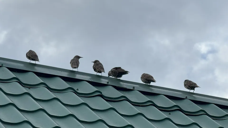 Фото: REGIONS/Илья Попов