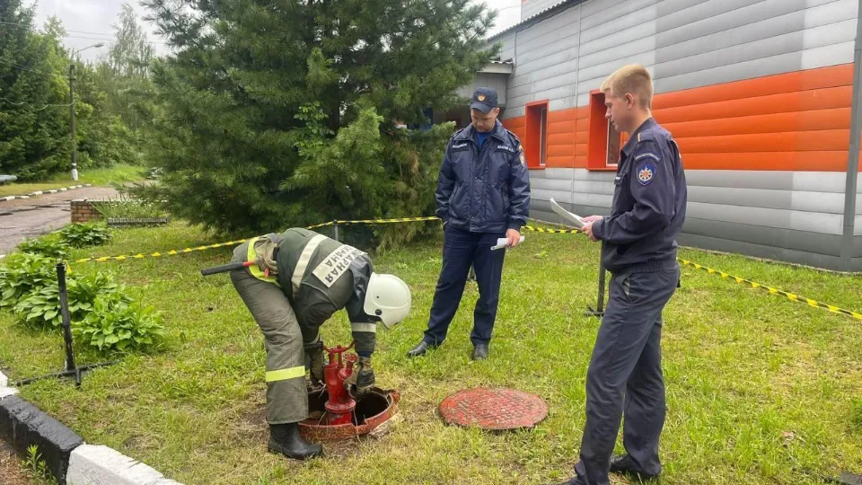 Фото: Министерство образования Московской области