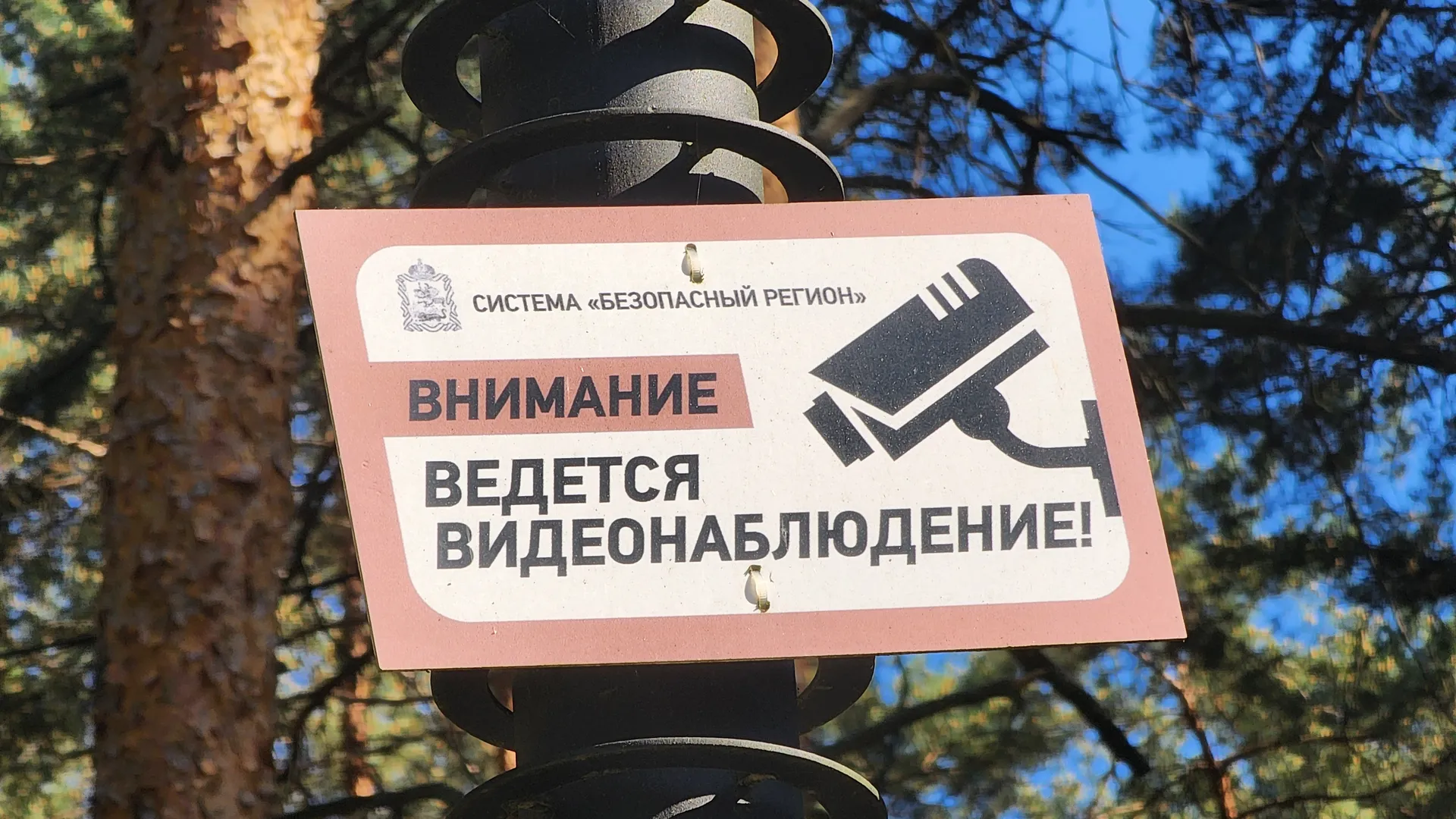 Фото: Арина Кузнецова