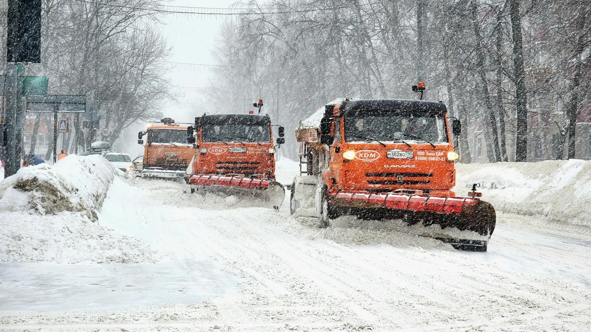 Мария Овчинникова