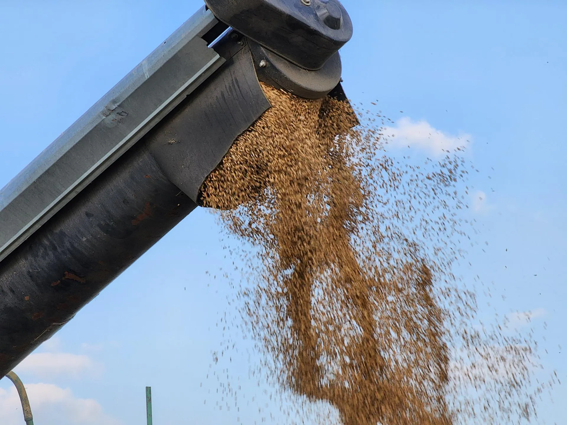 Фото: Андрей Семибратов